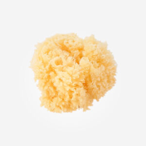 Saro 100% Natural Sponge-